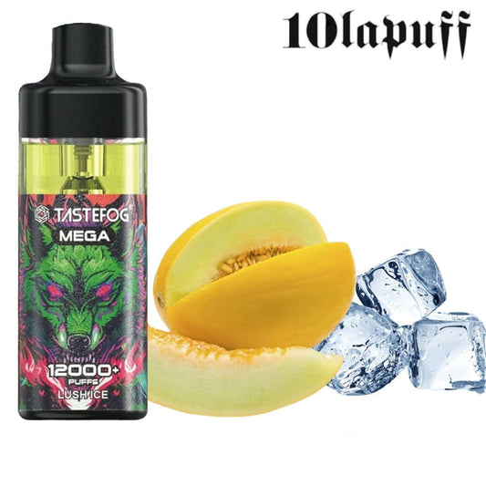PUFF 12000 TASTEFOG - Melon Glacé