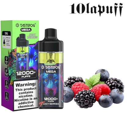 PUFF 12000 TASTEFOG -non jetable- liquide rechargeable- 12 parfums