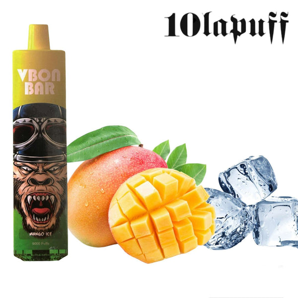PUFF 9000 VBON - Iced Mango