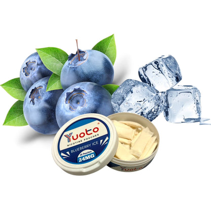 YUOTO SNUS Torbalar 24mg - Dondurulmuş Yaban Mersini Aroması