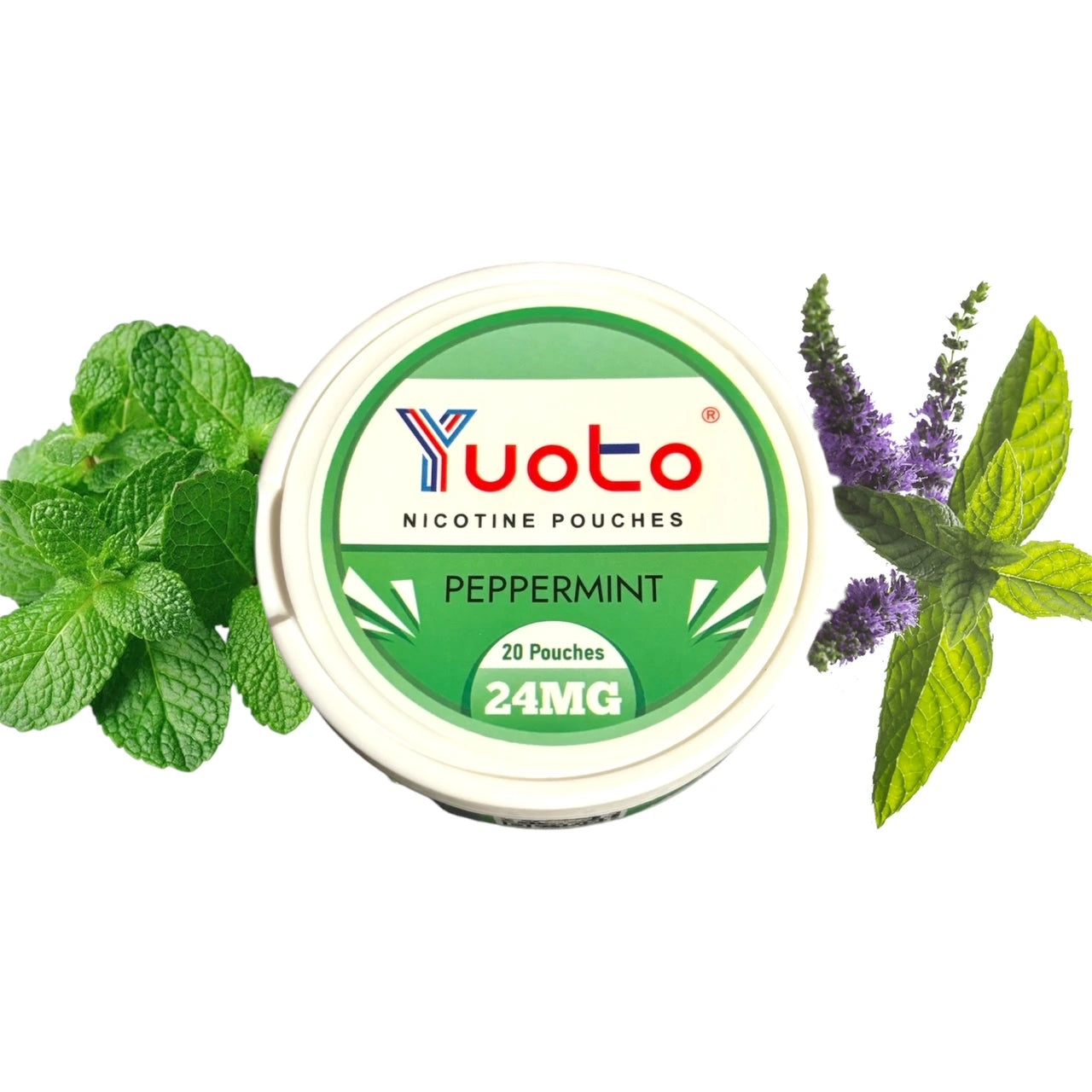 YUOTO SNUS Torbalar 24mg - Canlandırıcı Nane Aroması